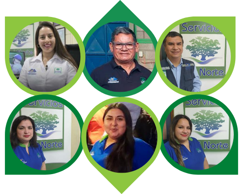 gallery/equipo de trabajo completo